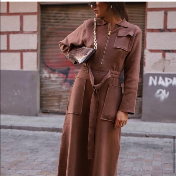 Zara Burgundy Brown Fall Chain Strap Animal Embossed Shoulder Bag - Picture 9 of 15